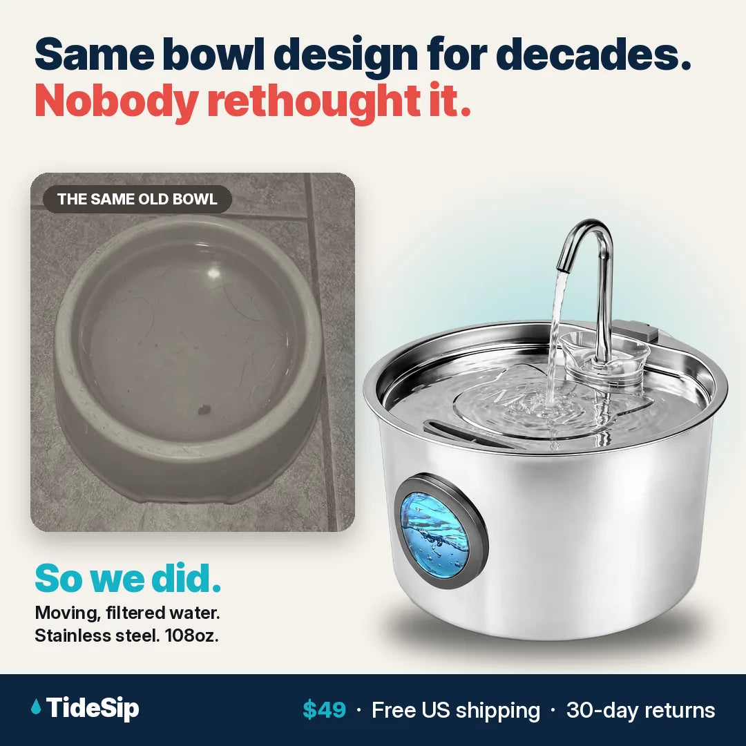 Same bowl design for decades. Nobody rethought it.