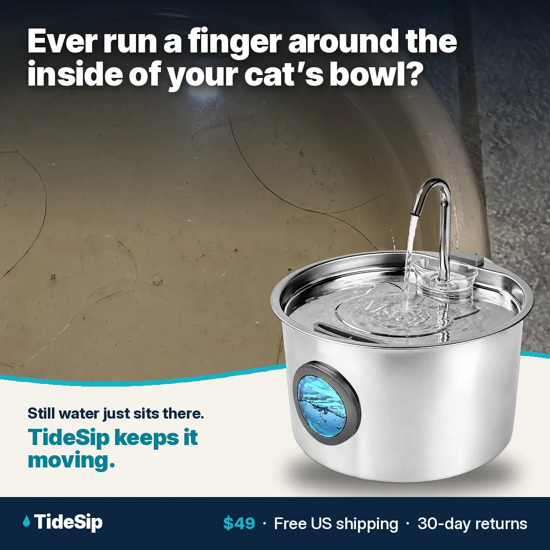 Ever run a finger around the inside of your cat's bowl?