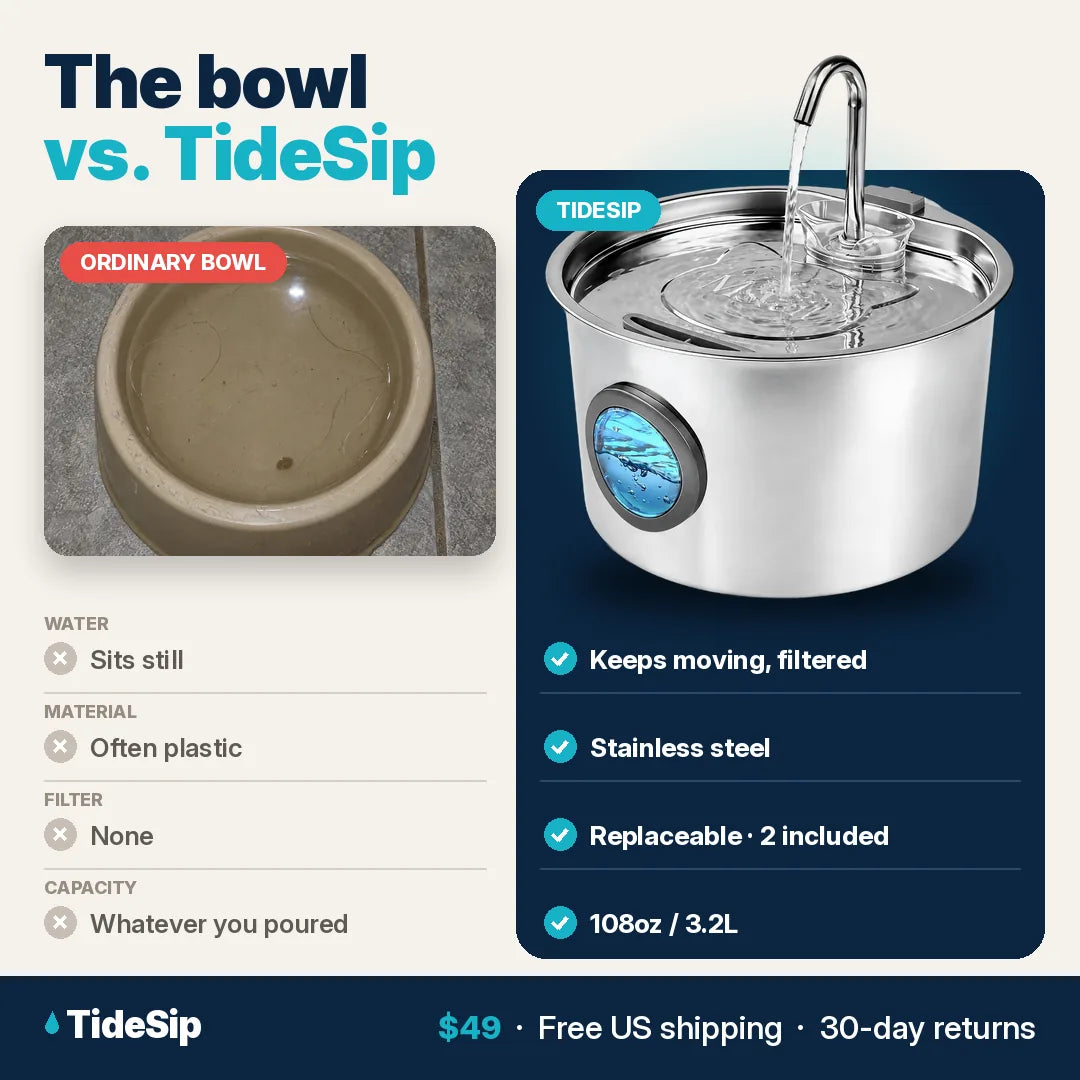 The bowl vs TideSip
