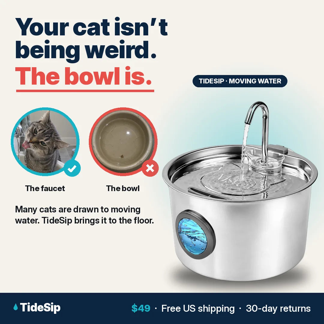 Your cat isn't being weird. The bowl is.